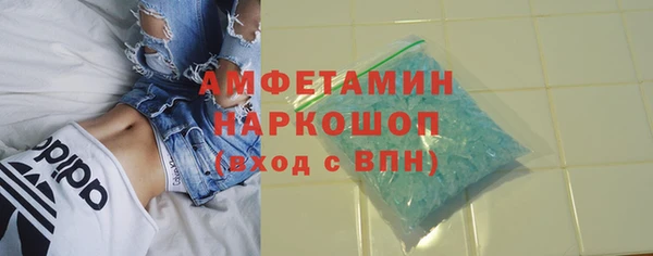 сатива Нефтекумск