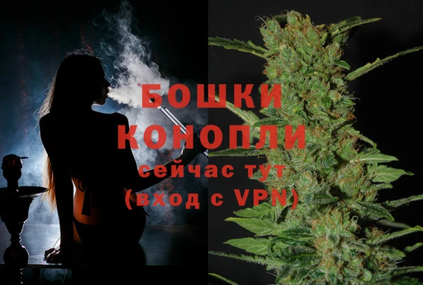 винт Нея