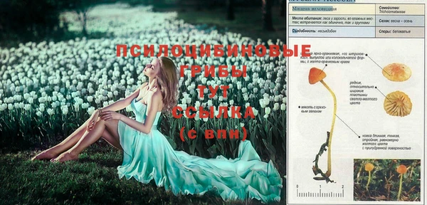 винт Нея