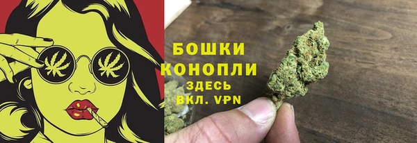 винт Нея