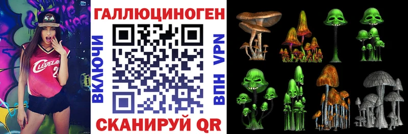 Купить закладки  Чаплыгин  Псилоцибиновые грибы мицелий 